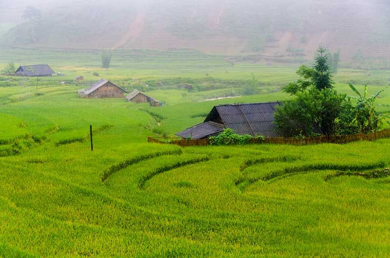 234 - Vietnam - Sapa - paisaje bajo la lluvia